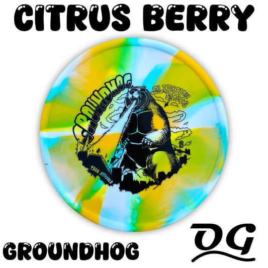 Elevation Discs - Groundhog